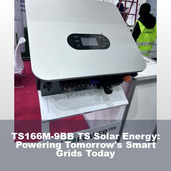 TS166M-9BB TS Solar Energy: Powering Tomorrow's Smart Grids Today